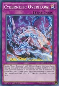 Cybernetic Overflow
