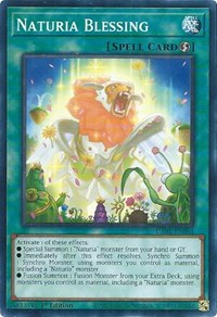 Naturia Blessing