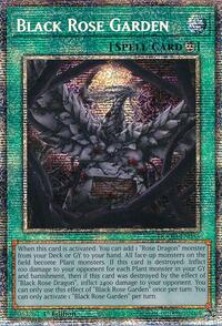 Black Rose Garden (Starlight Rare)